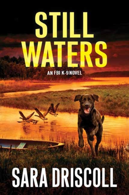 Still Waters : A Riveting Novel of Suspense, Hardback Book