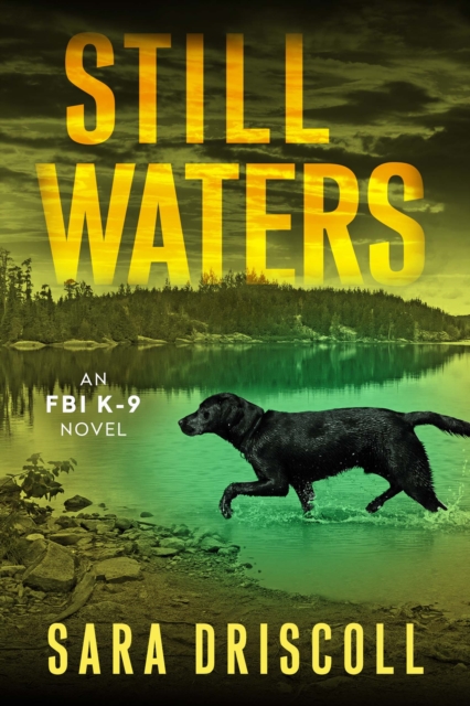 Still Waters : A Riveting Novel of Suspense, EPUB eBook