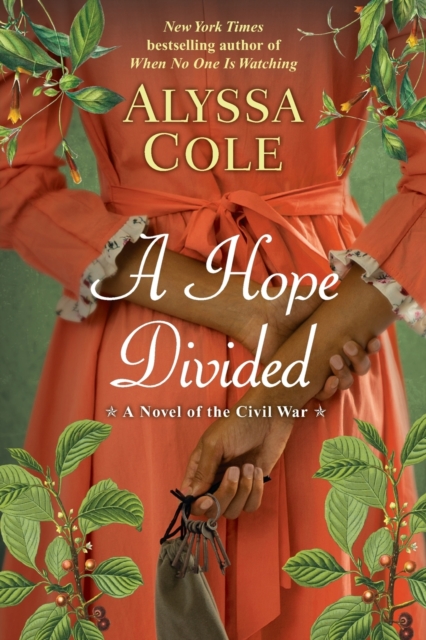 A Hope Divided, Paperback / softback Book