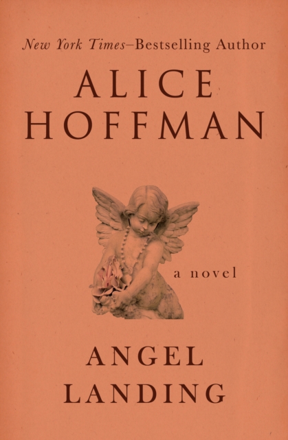 Angel Landing : A Novel, EPUB eBook
