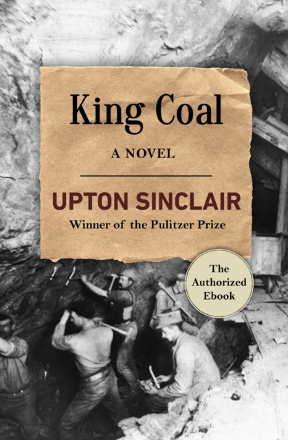 King Coal : A Novel, EPUB eBook