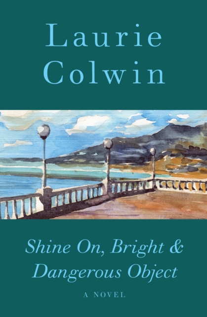 Shine On, Bright & Dangerous Object : A Novel, EPUB eBook