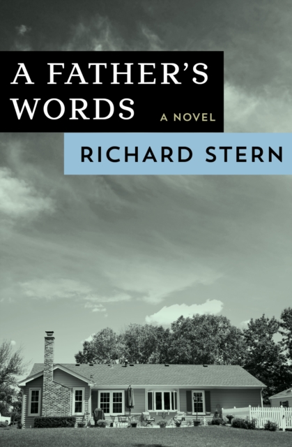 A Father's Words : A Novel, EPUB eBook
