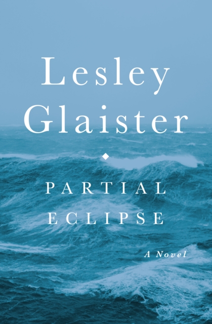 Partial Eclipse : A Novel, EPUB eBook