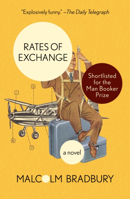 Rates of Exchange : A Novel, PDF eBook