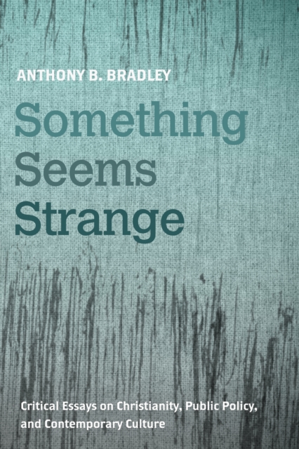 Something Seems Strange : Critical Essays on Christianity, Public Policy, and Contemporary Culture, EPUB eBook