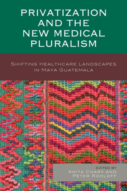 Privatization and the New Medical Pluralism : Shifting Healthcare Landscapes in Maya Guatemala, EPUB eBook