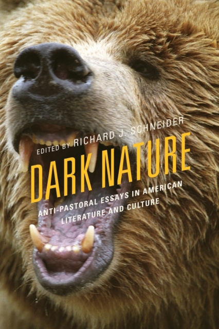 Dark Nature : Anti-Pastoral Essays in American Literature and Culture, Paperback / softback Book