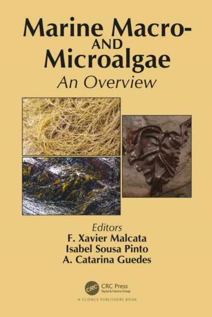 Marine Macro- and Microalgae : An Overview, Hardback Book