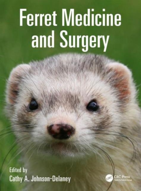 Ferret Medicine and Surgery, Hardback Book