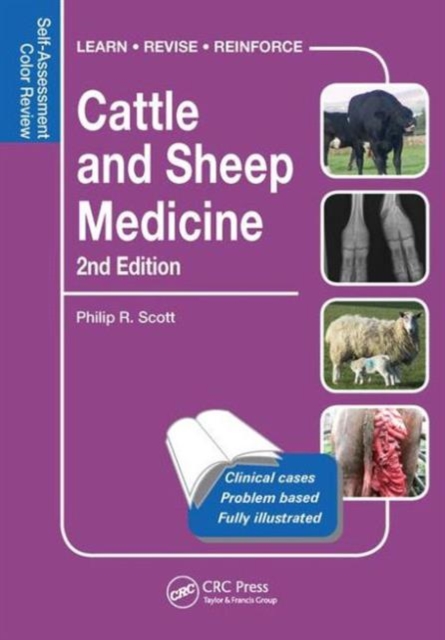 Cattle and Sheep Medicine : Self-Assessment Color Review, Paperback / softback Book