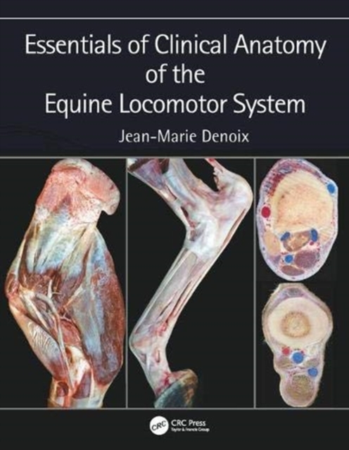 Essentials of Clinical Anatomy of the Equine Locomotor System, Hardback Book
