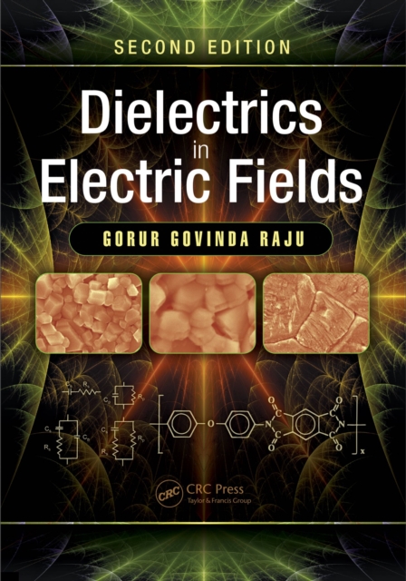 Dielectrics in Electric Fields : Tables, Atoms, and Molecules, PDF eBook