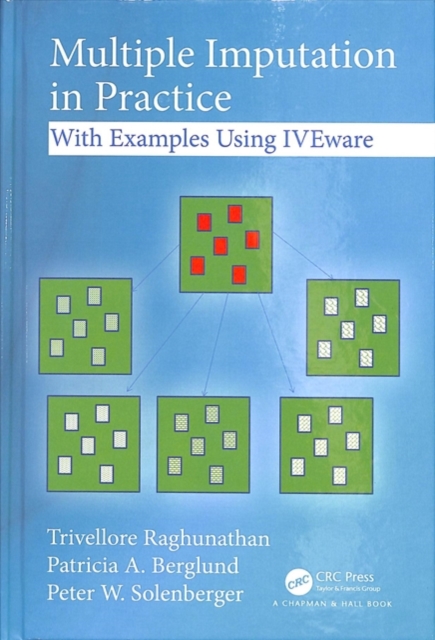 Multiple Imputation in Practice : With Examples Using IVEware, Hardback Book