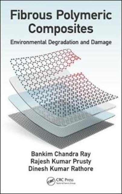 Fibrous Polymeric Composites : Environmental Degradation and Damage, Hardback Book