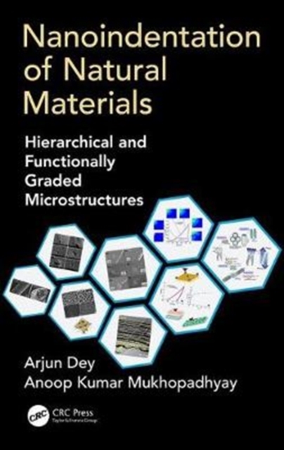 Nanoindentation of Natural Materials : Hierarchical and Functionally Graded Microstructures, Hardback Book