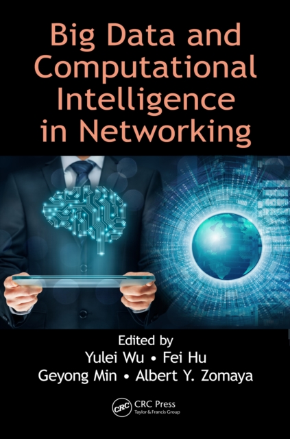 Big Data and Computational Intelligence in Networking, PDF eBook