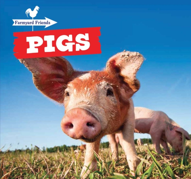 Pigs, PDF eBook