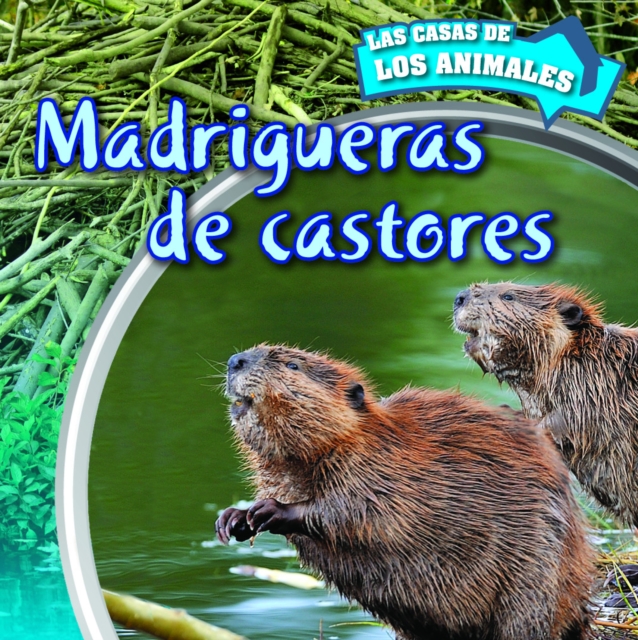 Madrigueras de castores (Inside Beaver Lodges), PDF eBook