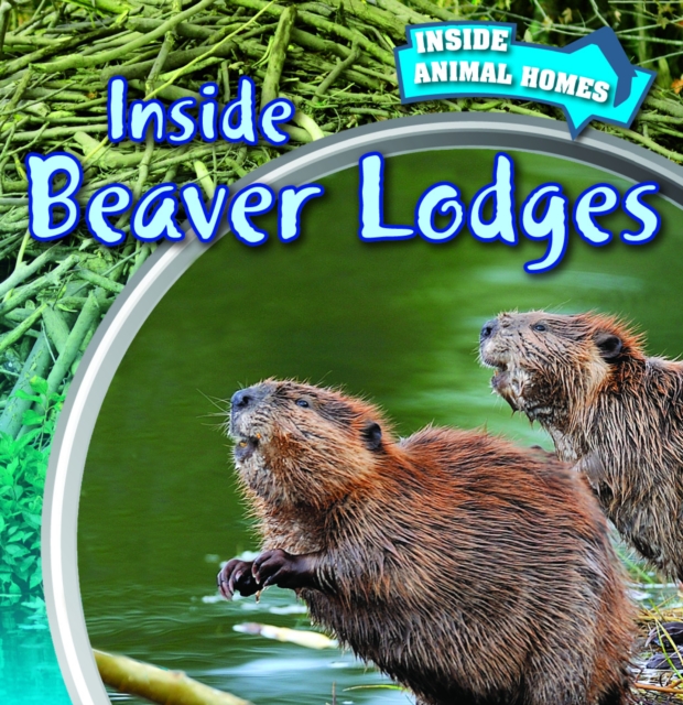 Inside Beaver Lodges, PDF eBook