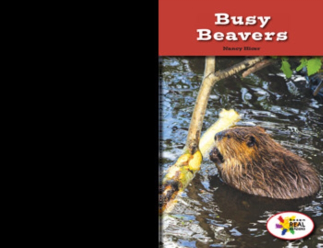 Busy Beavers, PDF eBook
