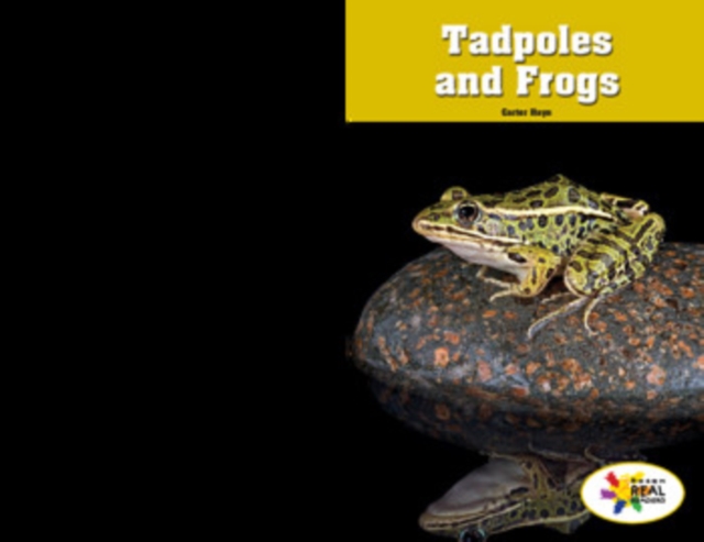 Tadpoles and Frogs, PDF eBook