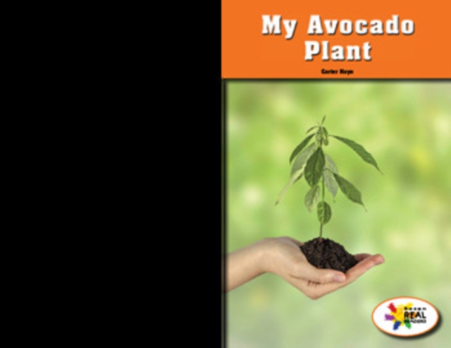 My Avocado Plant, PDF eBook