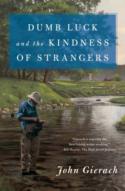 Dumb Luck and the Kindness of Strangers, Paperback / softback Book