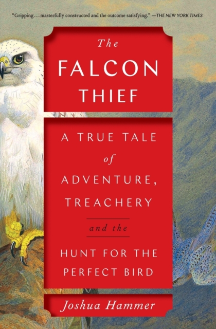 The Falcon Thief : A True Tale of Adventure, Treachery, and the Hunt for the Perfect Bird, Paperback / softback Book