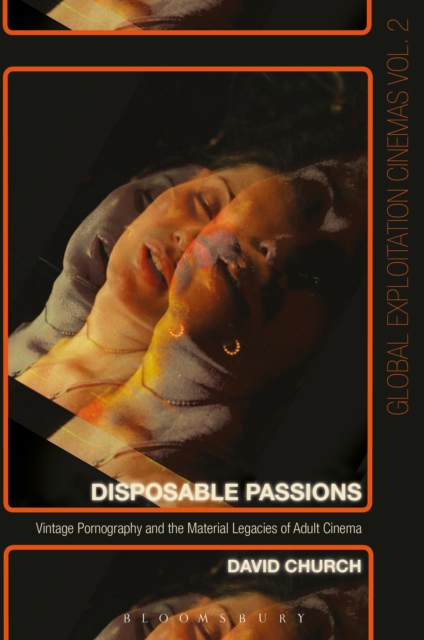 Disposable Passions : Vintage Pornography and the Material Legacies of Adult Cinema, PDF eBook