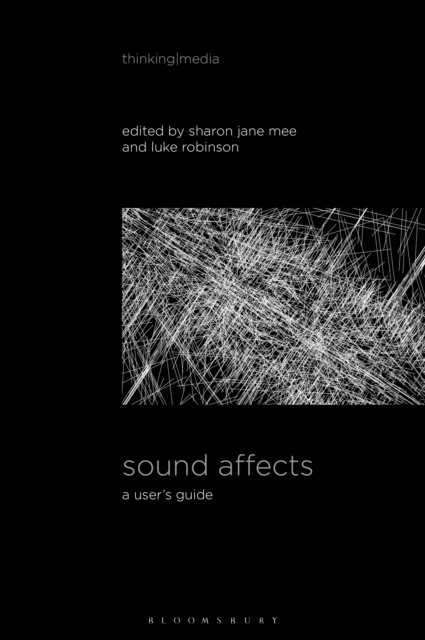Sound Affects : A User's Guide, EPUB eBook