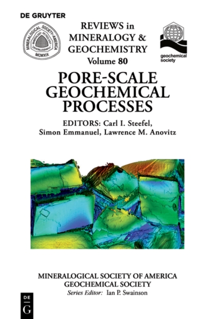 Pore Scale Geochemical Processes, PDF eBook