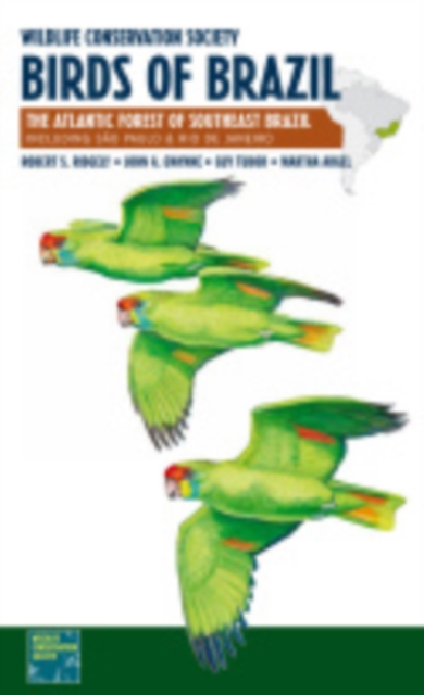 Wildlife Conservation Society Birds of Brazil : The Atlantic Forest of Southeast Brazil, including Sao Paulo and Rio de Janeiro, PDF eBook