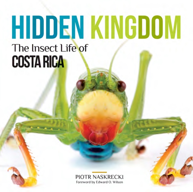 Hidden Kingdom : The Insect Life of Costa Rica, Paperback / softback Book