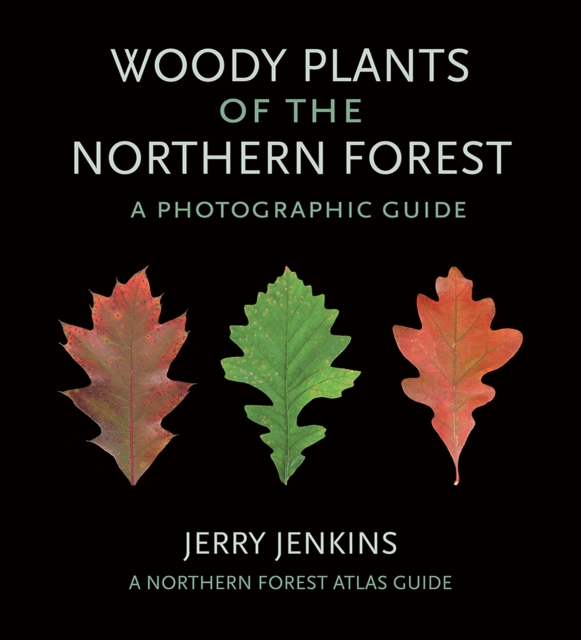 Woody Plants of the Northern Forest : A Photographic Guide, Paperback / softback Book