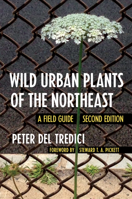 Wild Urban Plants of the Northeast : A Field Guide, PDF eBook