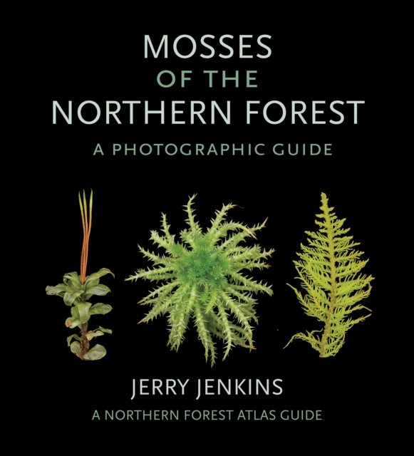 Mosses of the Northern Forest : A Photographic Guide, Paperback / softback Book