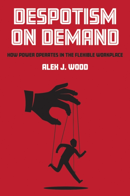 Despotism on Demand : How Power Operates in the Flexible Workplace, PDF eBook