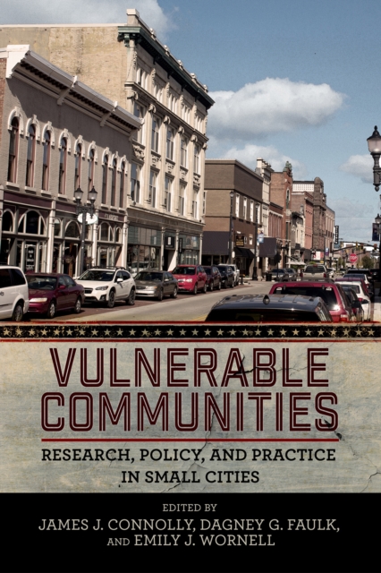 Vulnerable Communities : Research, Policy, and Practice in Small Cities, PDF eBook