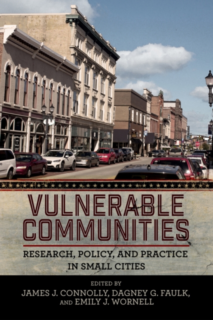 Vulnerable Communities : Research, Policy, and Practice in Small Cities, EPUB eBook