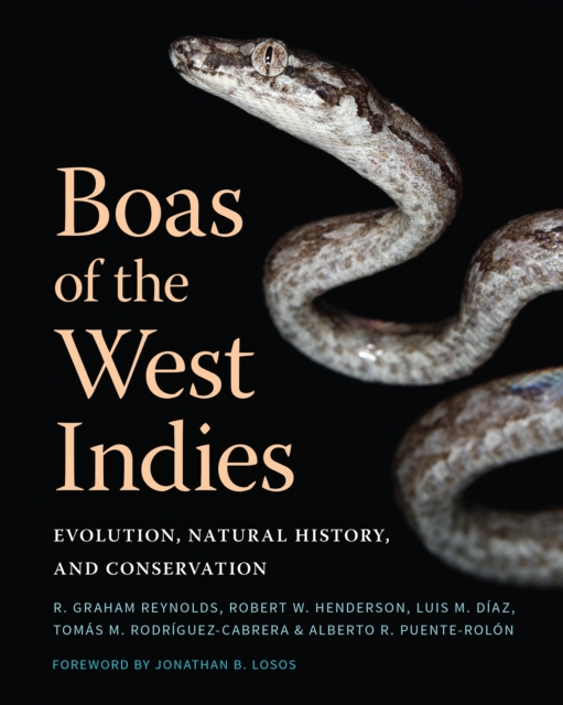 Boas of the West Indies : Evolution, Natural History, and Conservation, Hardback Book