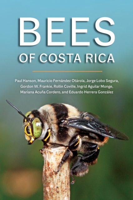 Bees of Costa Rica, Paperback / softback Book