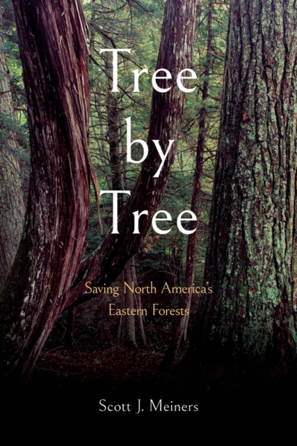 Tree by Tree : Saving North America's Eastern Forests, EPUB eBook