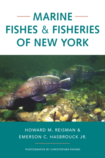 Marine Fishes and Fisheries of New York, Paperback / softback Book