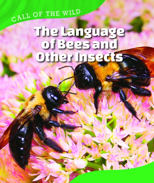 The Language of Bees and Other Insects, PDF eBook