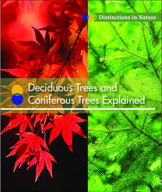 Deciduous Trees and Coniferous Trees Explained, PDF eBook