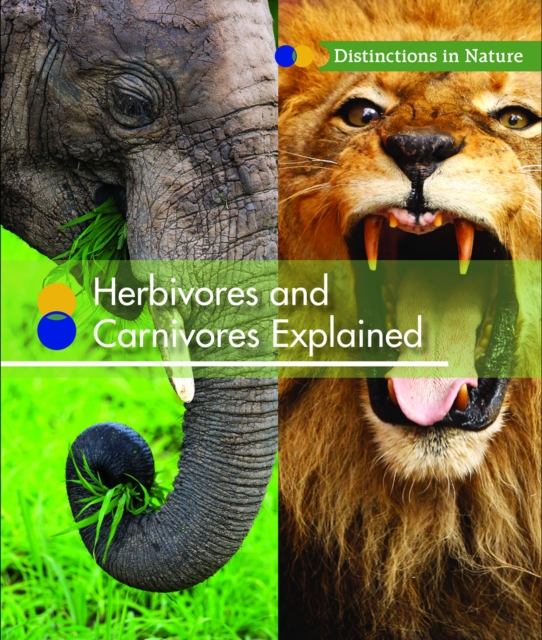 Herbivores and Carnivores Explained, PDF eBook