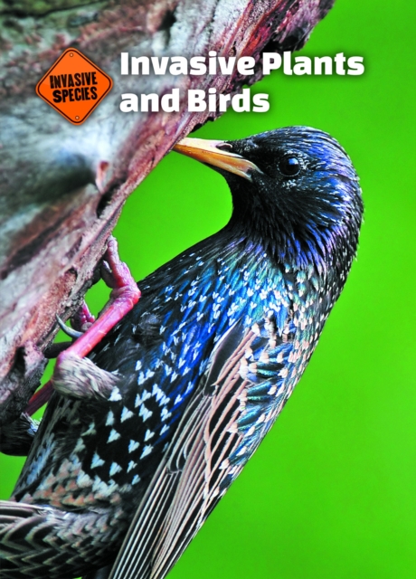 Invasive Plants and Birds, PDF eBook
