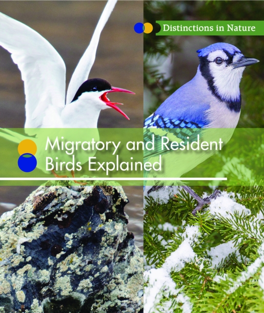 Migratory and Resident Birds Explained, PDF eBook