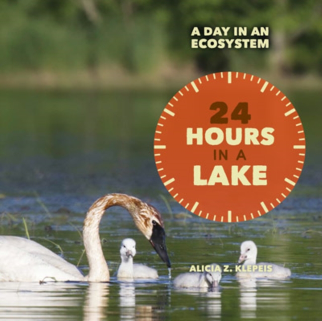 24 Hours in a Lake, PDF eBook